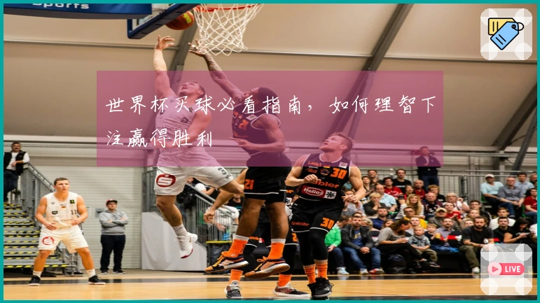 世界杯买球必看指南,如何理智下注赢得胜利