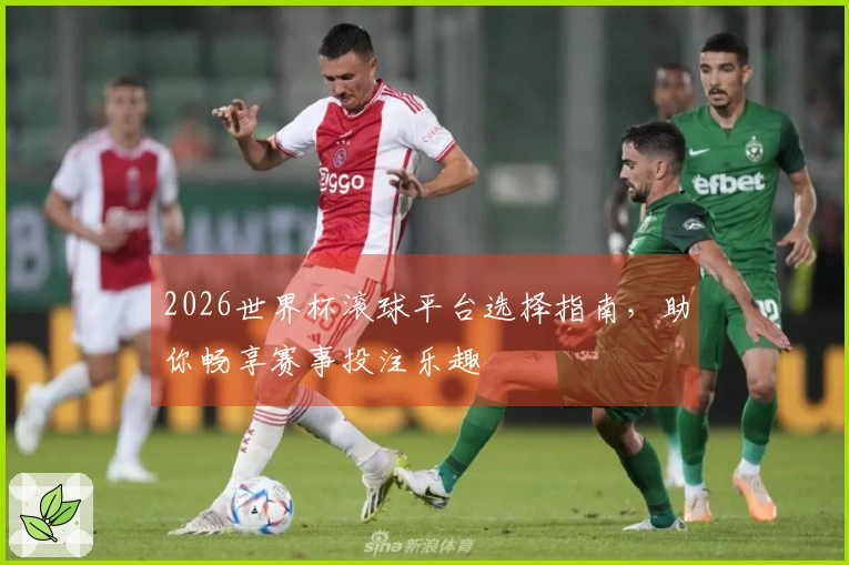 2026世界杯滚球平台选择指南，助你畅享赛事投注乐趣