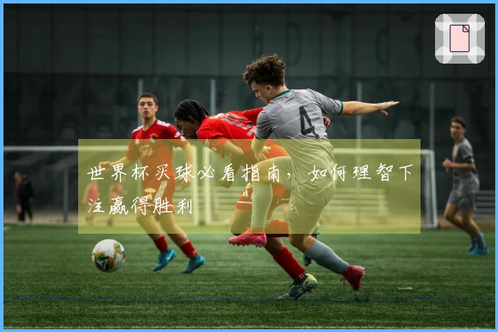 世界杯买球必看指南，如何理智下注赢得胜利